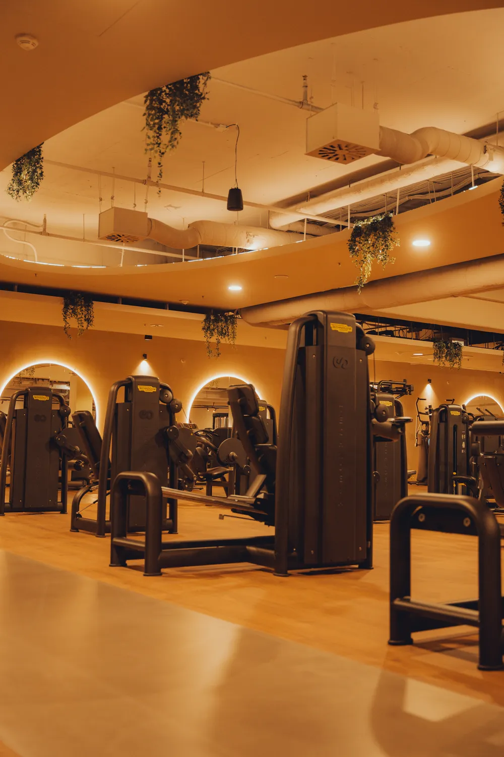 Peoples Fitness Bad Homburg