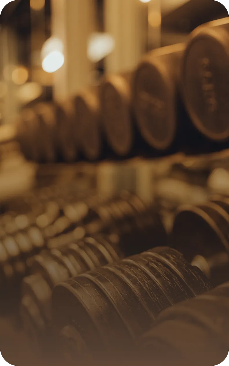 Freihantelbereich mit Racks und Hanteln im peoples Fitness Club Rosbach