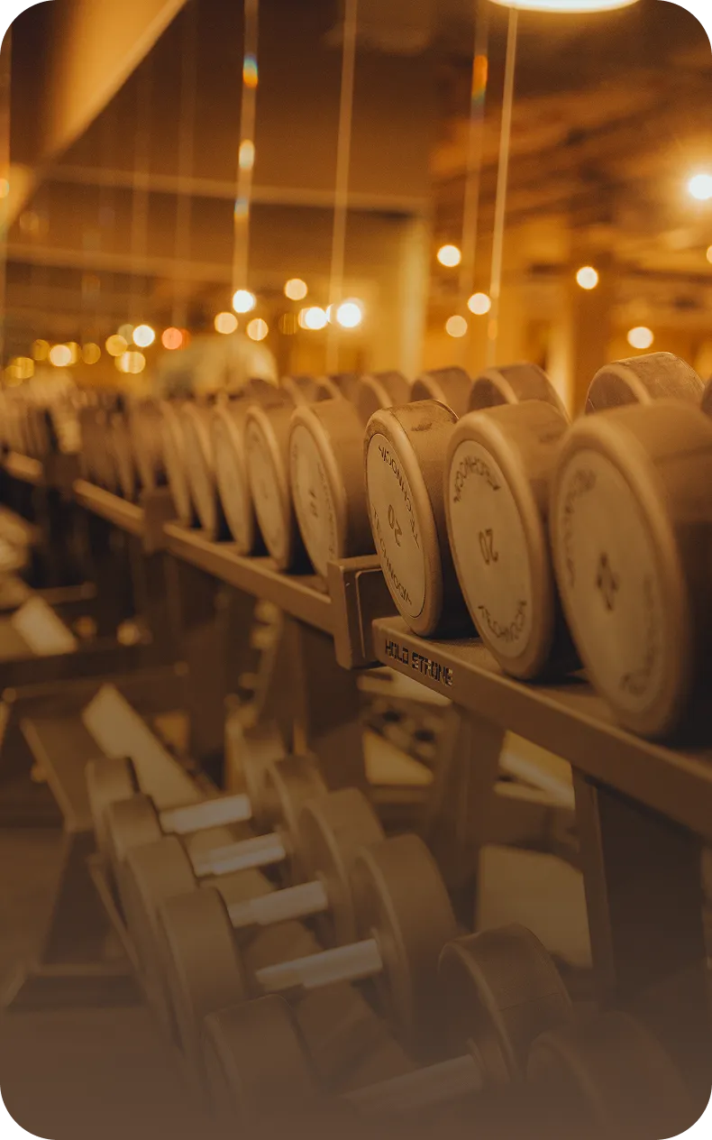 Freihantelbereich im peoples Fitness Signature Club Bad Homburg